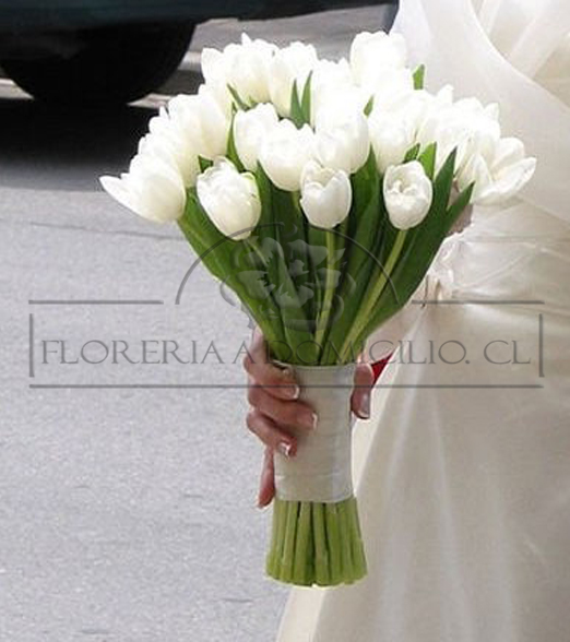 Bouquet de 50 Tulipanes